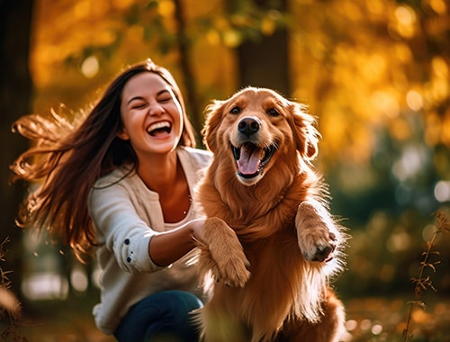 Celebrate Your Life at Drakenzicht