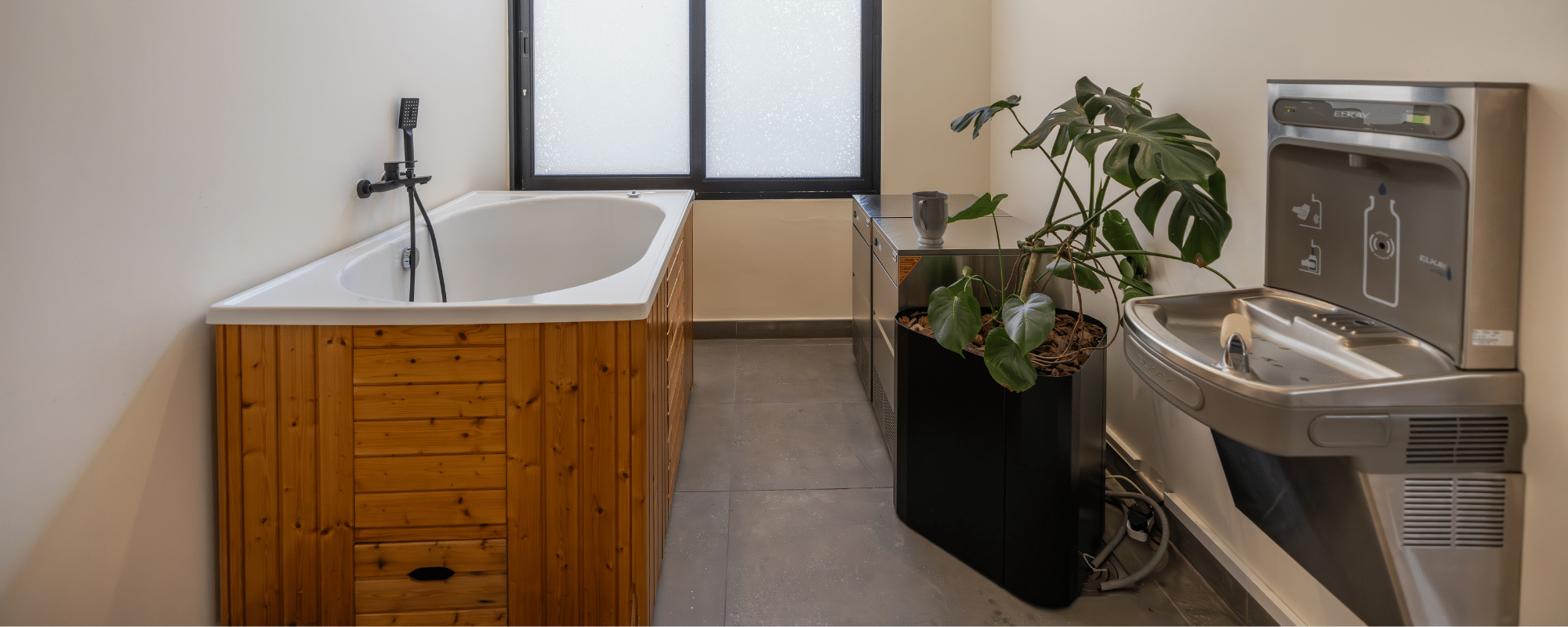 Emerald Health & Wellness Ice Banner