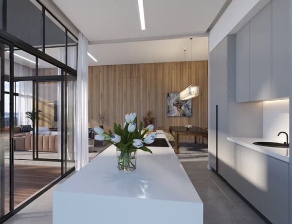 http://The%20Emerald_Penthouse%20Kitchen%20Counter